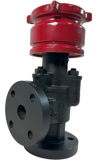 شیر زیر موبری